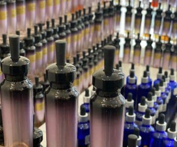 Live Outrageously paris retreat Photo 13 paris retreat - Live Outrageously