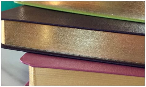 Live Outrageously women's planner Photo 4 women's planner - Live Outrageously