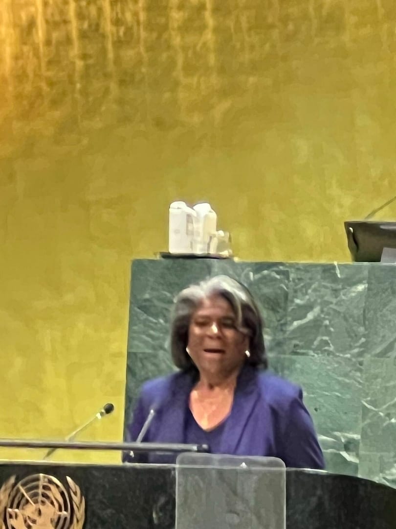 Live Outrageously united nations global engagement summit Photo 8 united nations global engagement summit - Live Outrageously